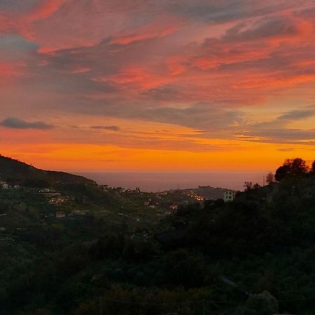 Il Nido Del Viaggiatore Vallebona 外观 照片