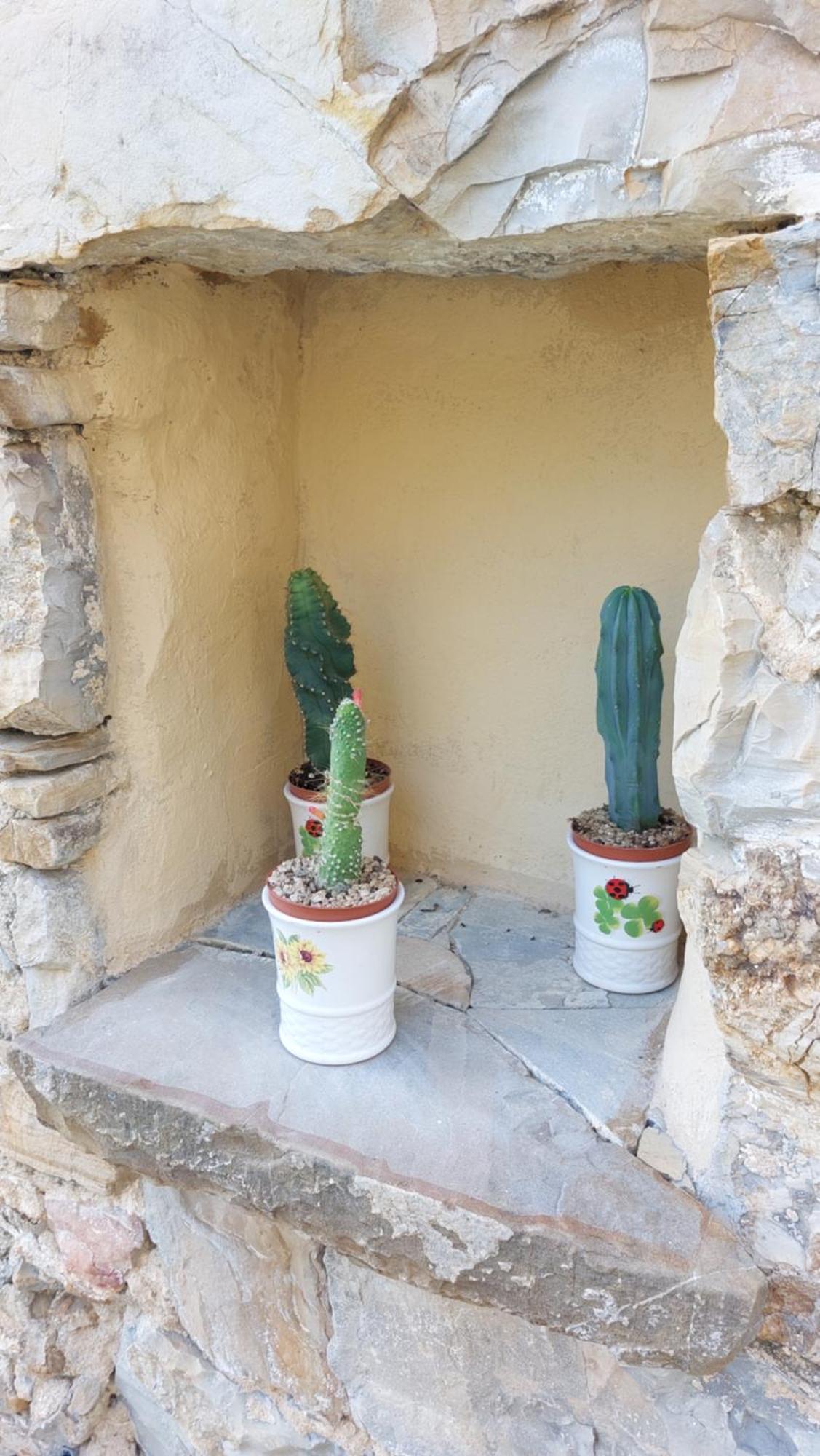 Il Nido Del Viaggiatore Vallebona 外观 照片